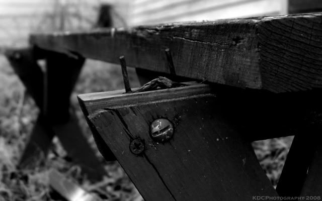 bench Pictures, Images and Photos