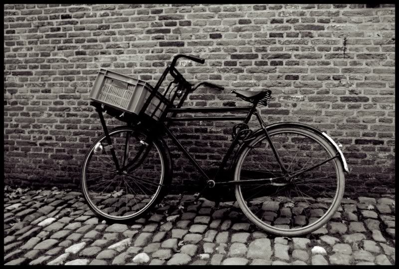 Fotografie
