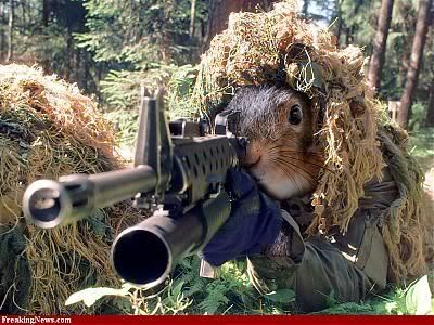 SniperSquirrel.jpg