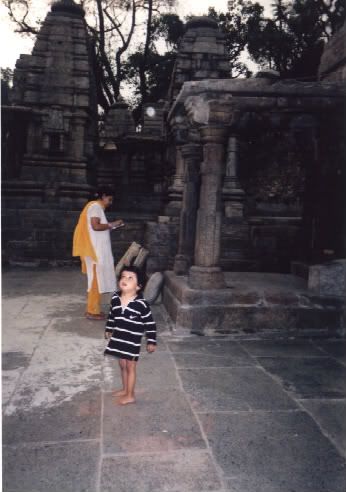 adi badrinath