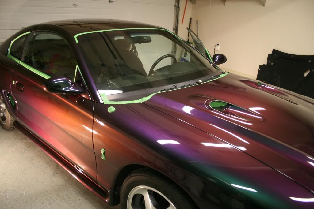 1996mysticcobra013.jpg