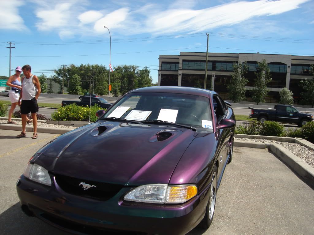 DSC00376.jpg