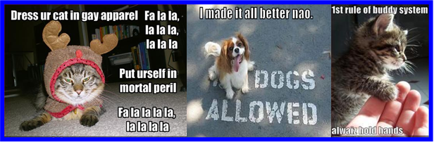 funnies funnies.com. funnies