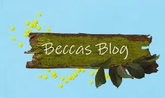 Becca's Blog!