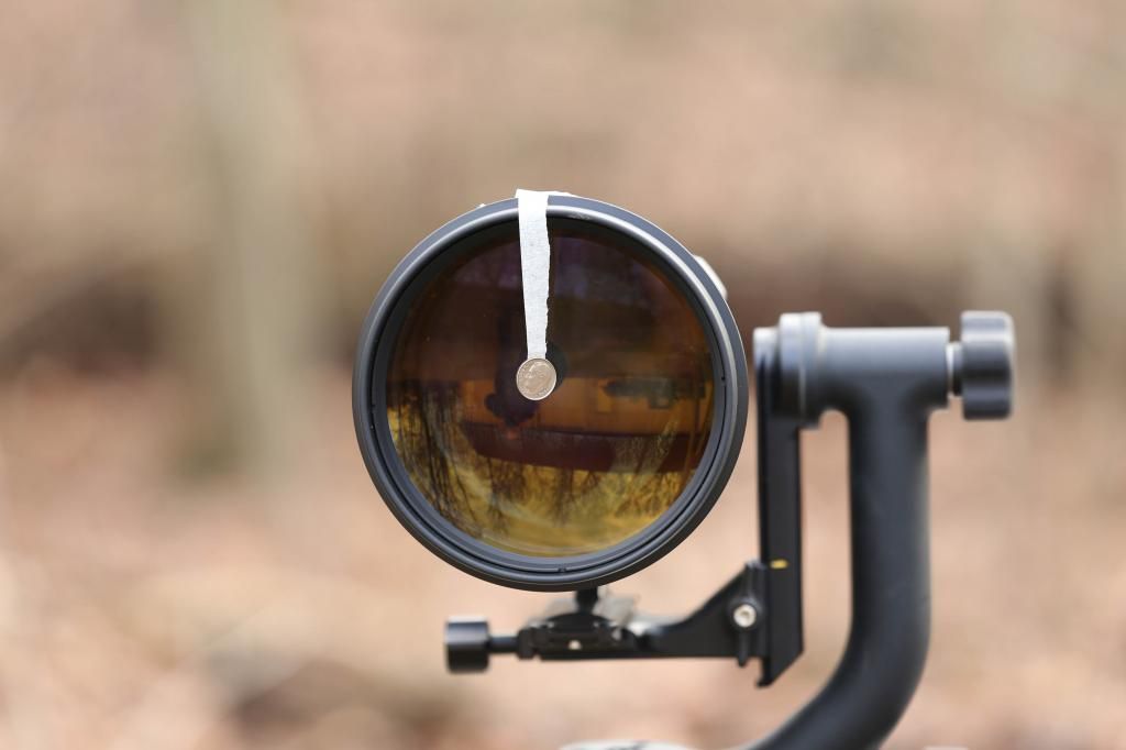 IMAGE: http://i422.photobucket.com/albums/pp304/woodzy9370/400mm-0171_zps4564a2fb.jpg