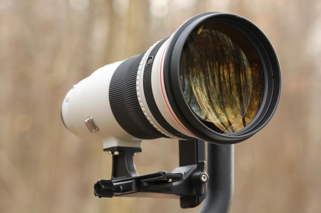 IMAGE: http://i422.photobucket.com/albums/pp304/woodzy9370/A13_0154_zpsab911cca.jpg