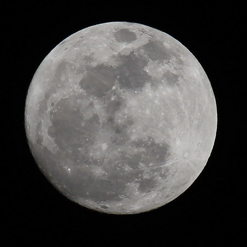 IMAGE: http://i422.photobucket.com/albums/pp304/woodzy9370/IMG_0758-c.jpg