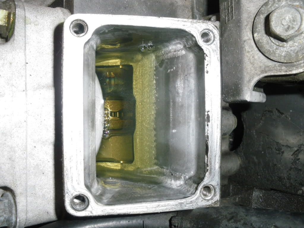 IMGP0075.jpg