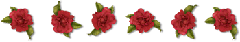  photo loveinrose-sep.png