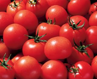 Tomato Pictures, Images and Photos