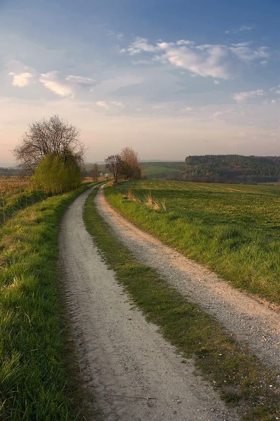 Dołączona grafika