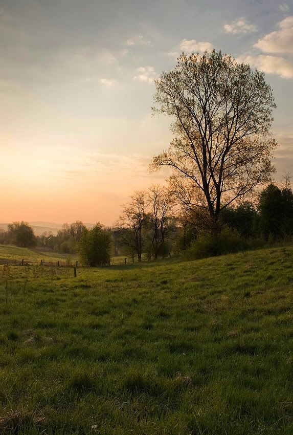 Dołączona grafika