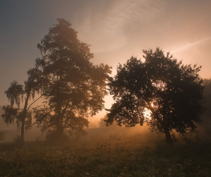 Dołączona grafika