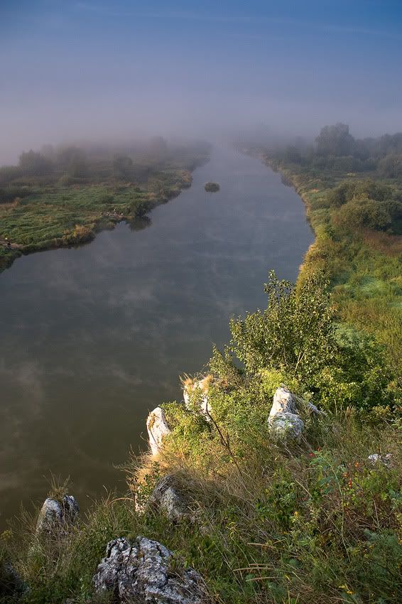 Dołączona grafika