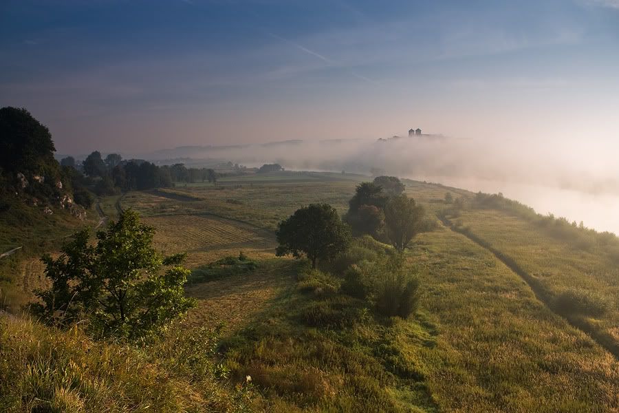 Dołączona grafika