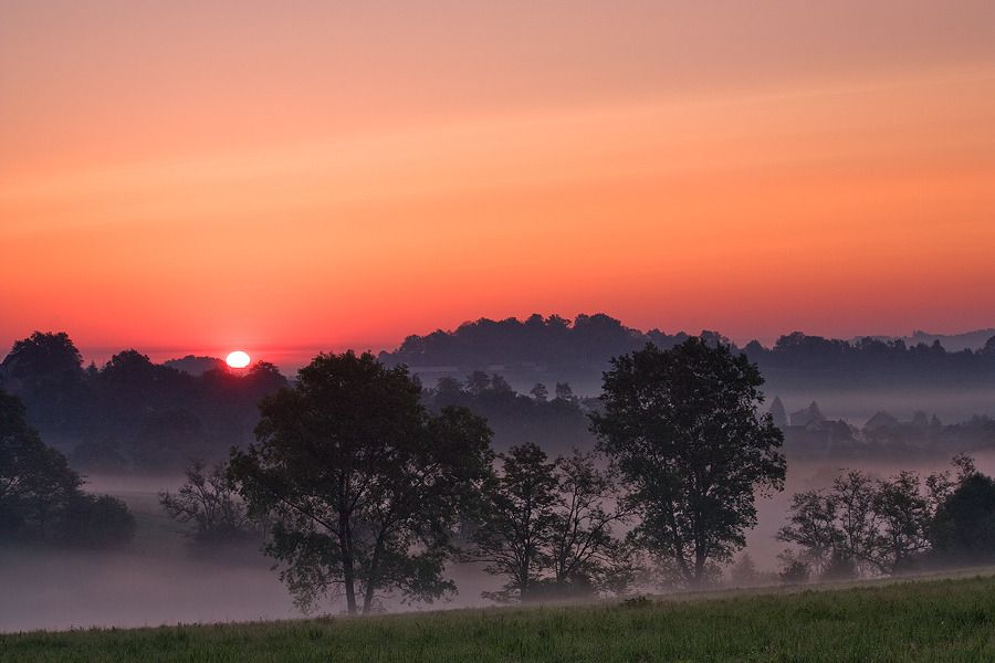 Dołączona grafika