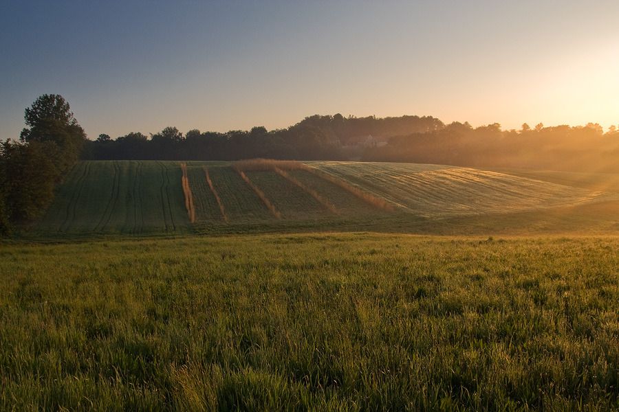 Dołączona grafika