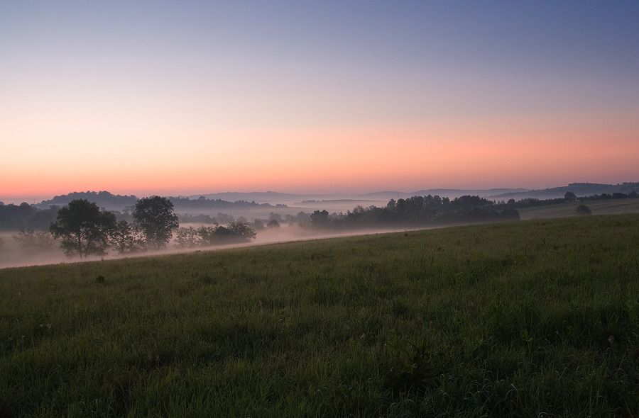 Dołączona grafika