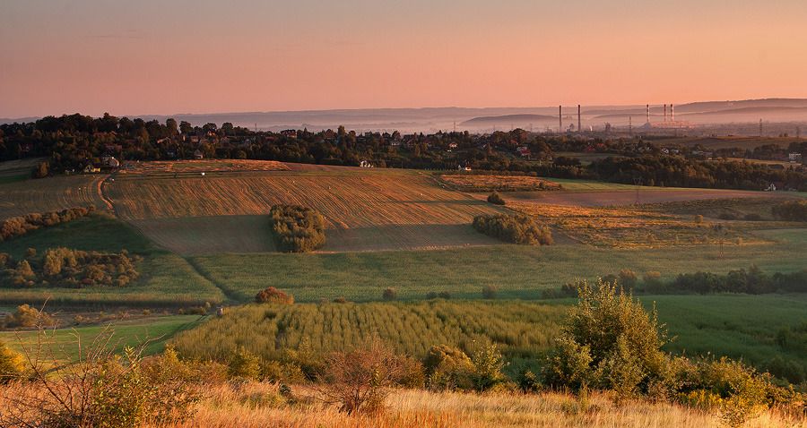 Dołączona grafika