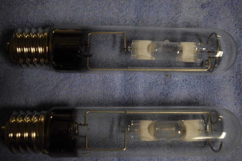 HOB filterMag 18MH BulbsHeater90 gal Tank REEF2REEF Saltwater and