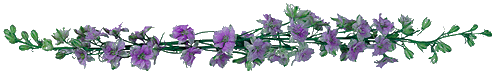 [Image: Purpleflowersdivider.gif]