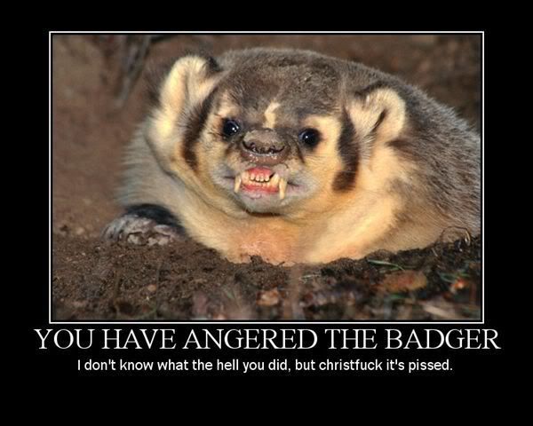 Badger_Is_Angry.jpg