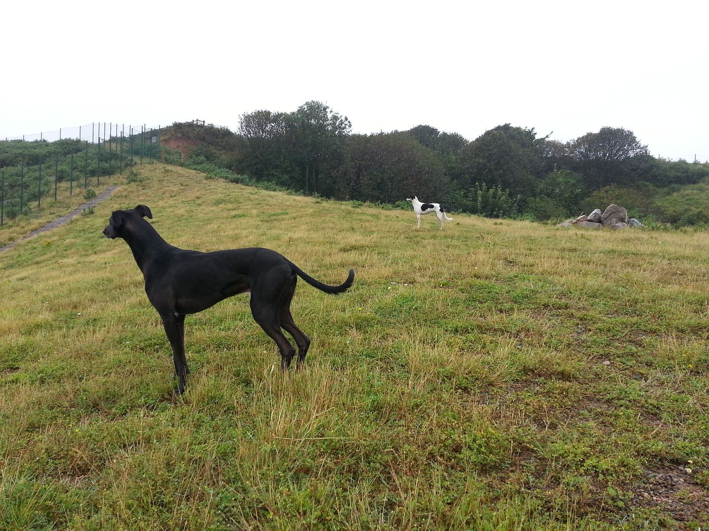 20120101_203745.jpg