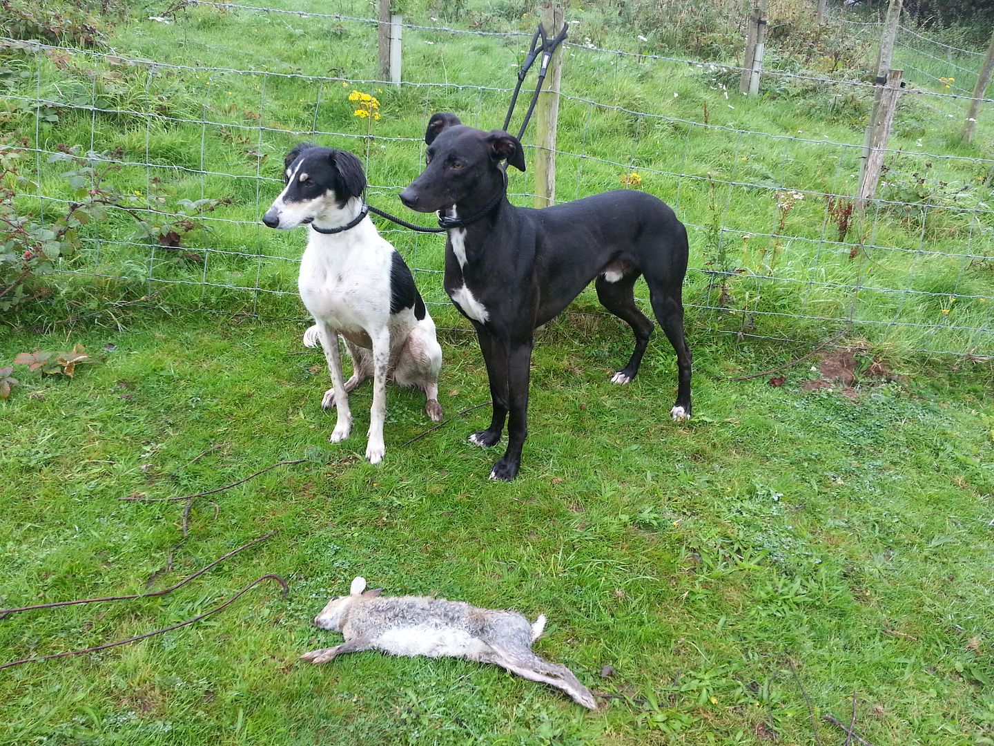 20120101_211443.jpg