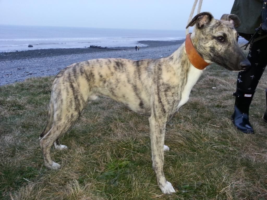 20130307_175012.jpg