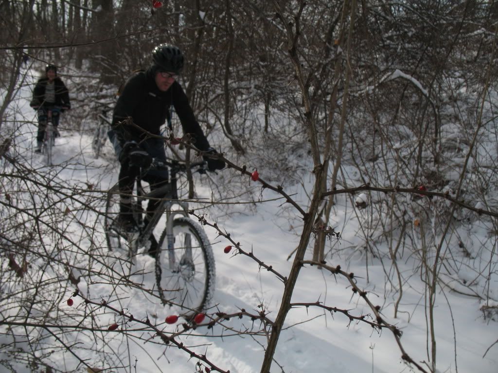 IMG_1232.jpg