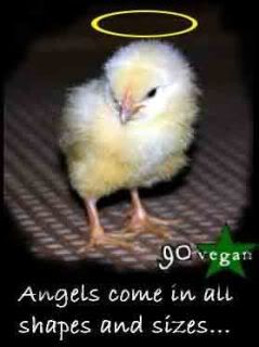 chicken_angel.jpg